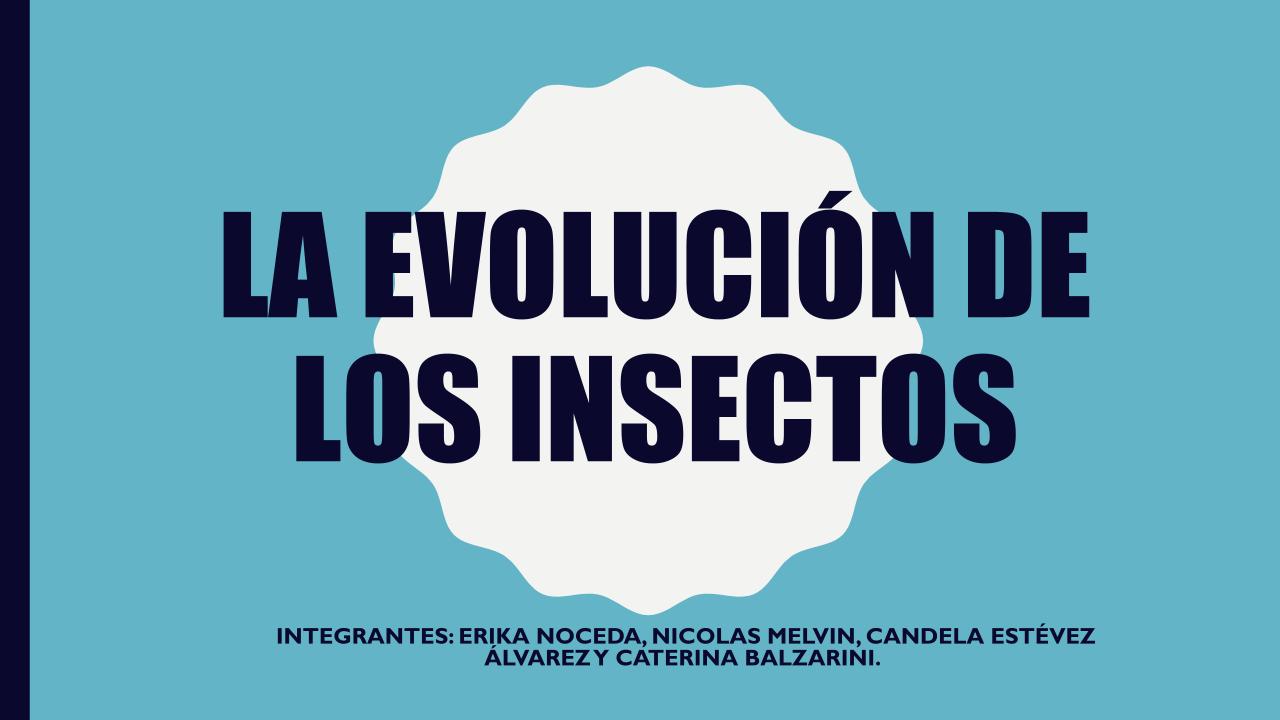 LA evolución de los insectos.pptx (1)